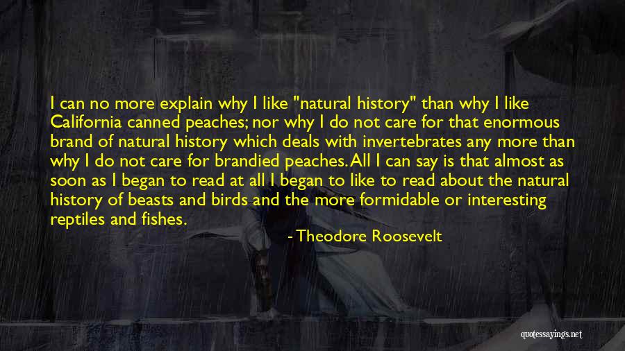 I Care No More Quotes By Theodore Roosevelt