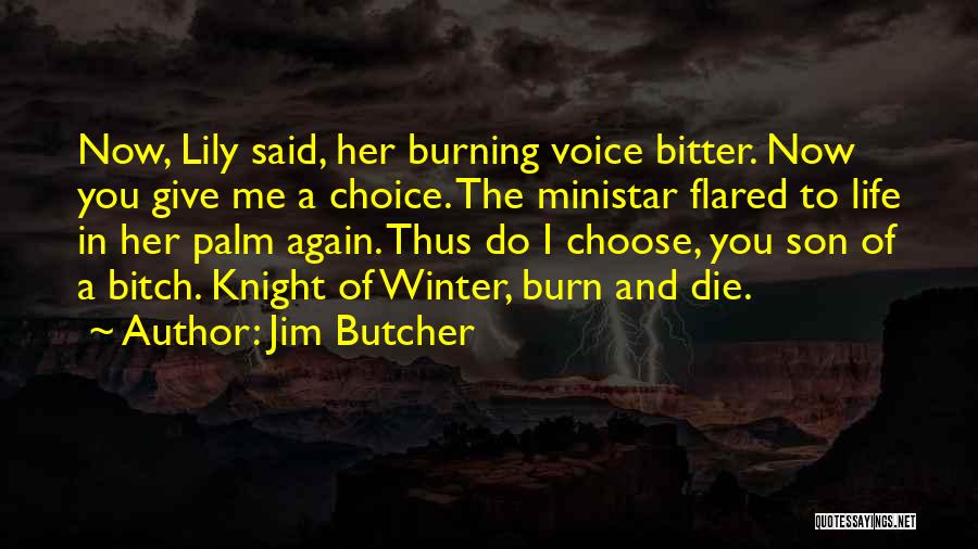 I Choose Life Quotes By Jim Butcher