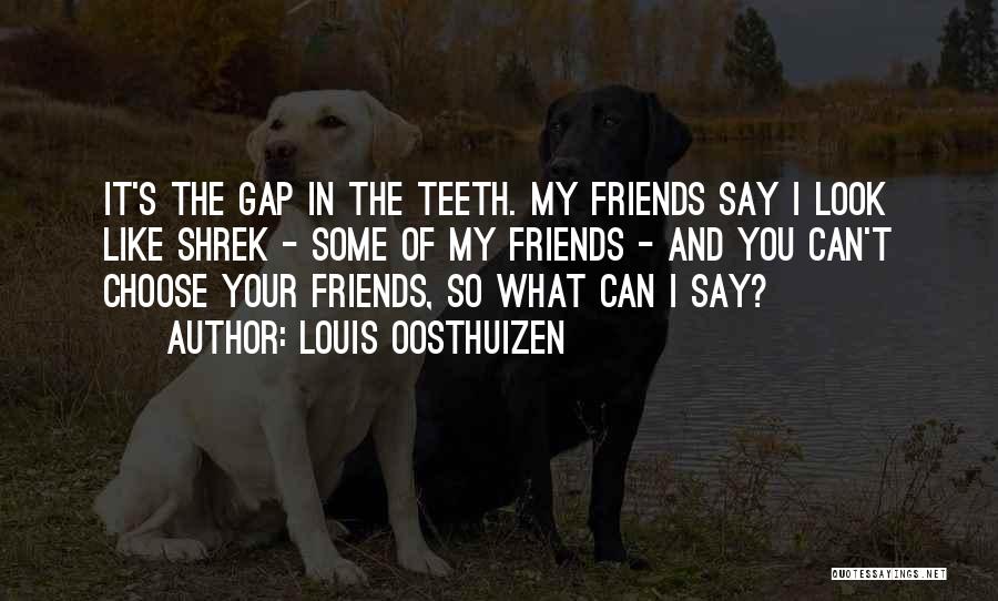 I Choose Quotes By Louis Oosthuizen