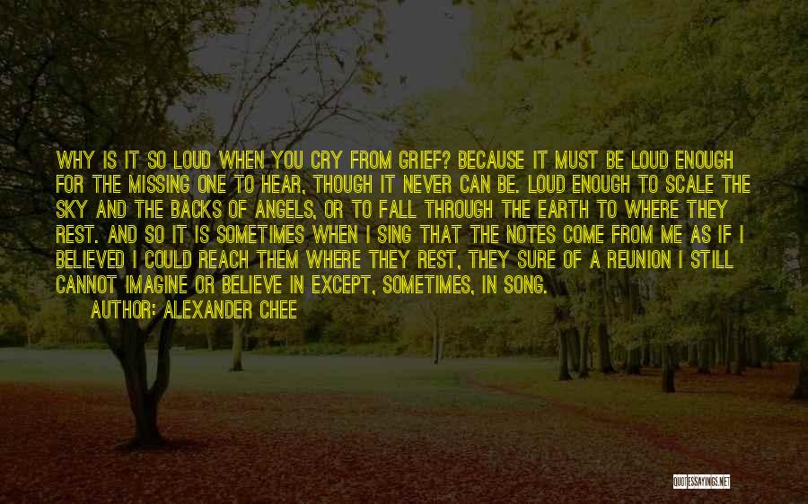 I Could Cry Quotes By Alexander Chee