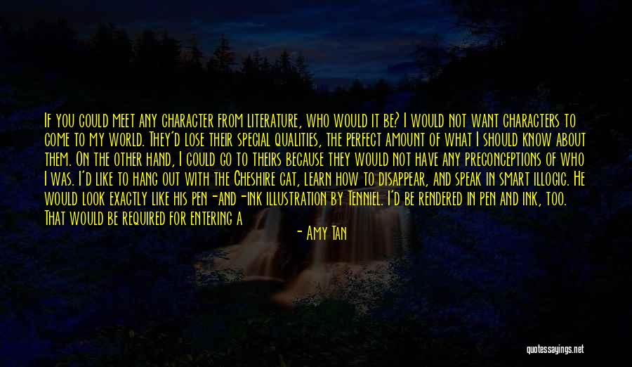 I Could Disappear Quotes By Amy Tan