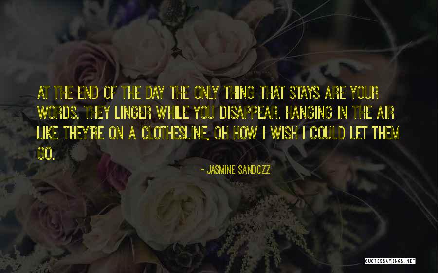 I Could Disappear Quotes By Jasmine Sandozz