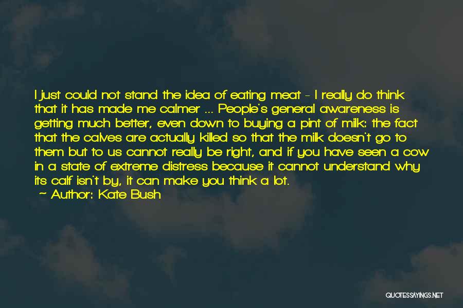 I Could Do So Much Better Quotes By Kate Bush