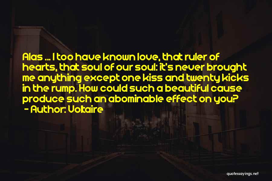 I Could Never Love You Quotes By Voltaire