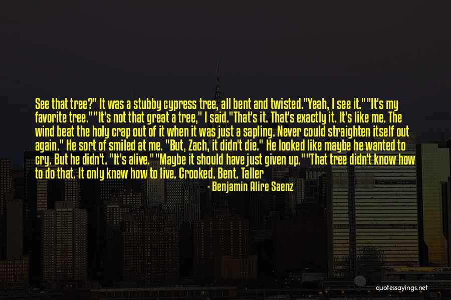 I Could Not Ask For More Quotes By Benjamin Alire Saenz I Could Not Ask For More Quotes By Benjamin Alire Saenz