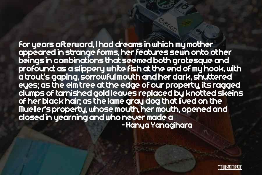 I Could Not Ask For More Quotes By Hanya Yanagihara I Could Not Ask For More Quotes By Hanya Yanagihara