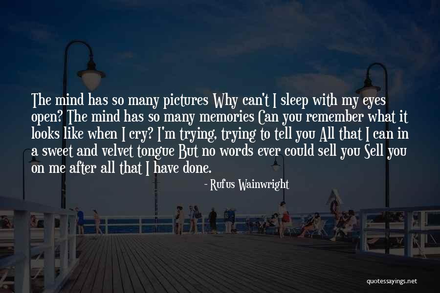 I Could Sell Quotes By Rufus Wainwright I Could Sell Quotes By Rufus Wainwright