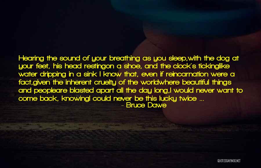 I Could Sleep All Day Quotes By Bruce Dawe