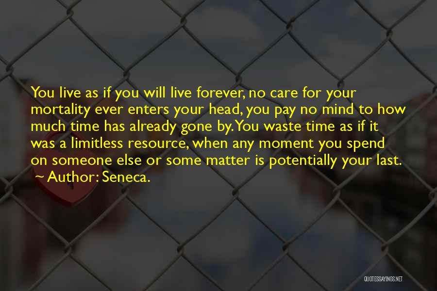 I Could Spend Forever With You Quotes By Seneca.