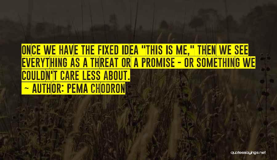 I Couldn't Care Less About You Quotes By Pema Chodron