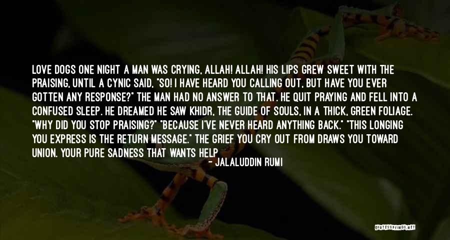 I Cry Myself To Sleep At Night Quotes By Jalaluddin Rumi