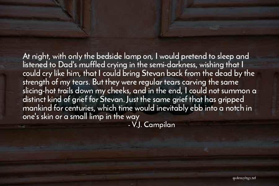 I Cry Myself To Sleep At Night Quotes By V.J. Campilan