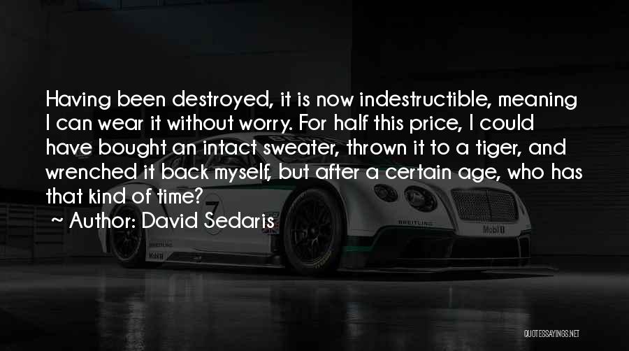 I Destroyed Myself Quotes By David Sedaris