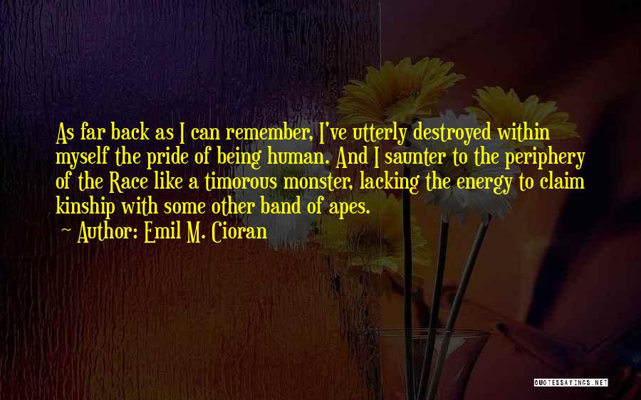 I Destroyed Myself Quotes By Emil M. Cioran
