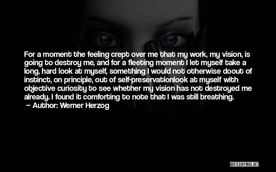I Destroyed Myself Quotes By Werner Herzog