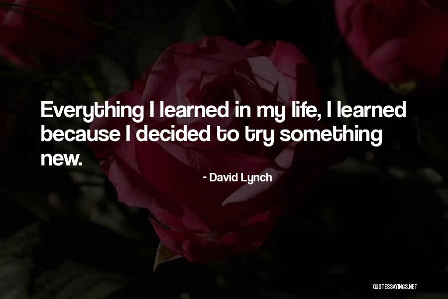 I Did Everything On My Own Quotes By David Lynch I Did Everything On My Own Quotes By David Lynch