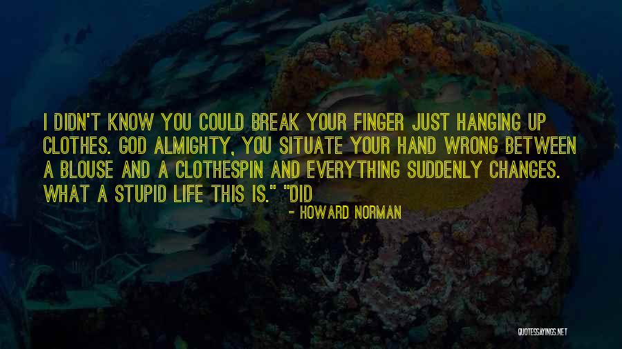 I Did Everything Wrong Quotes By Howard Norman