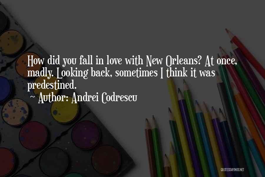 I Did Love You Once Quotes By Andrei Codrescu