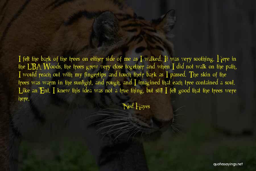 I Did Not Change Quotes By Ned Hayes I Did Not Change Quotes By Ned Hayes