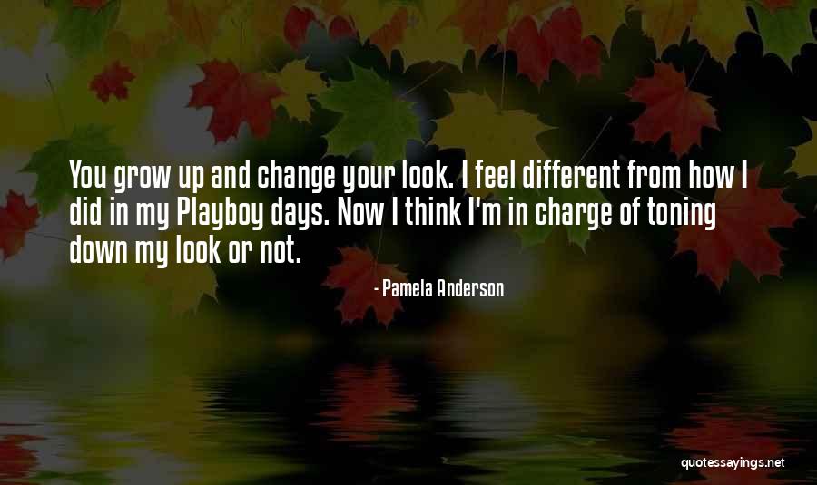 I Did Not Change Quotes By Pamela Anderson