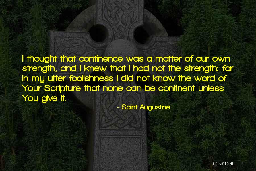 I Did Not Know Quotes By Saint Augustine I Did Not Know Quotes By Saint Augustine