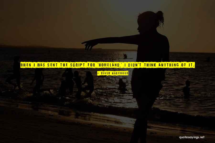 I Didn Do It Quotes By David Harewood I Didn Do It Quotes By David Harewood