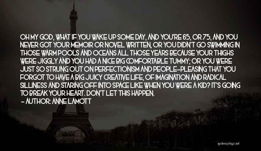 I Didn't Break Your Heart Quotes By Anne Lamott