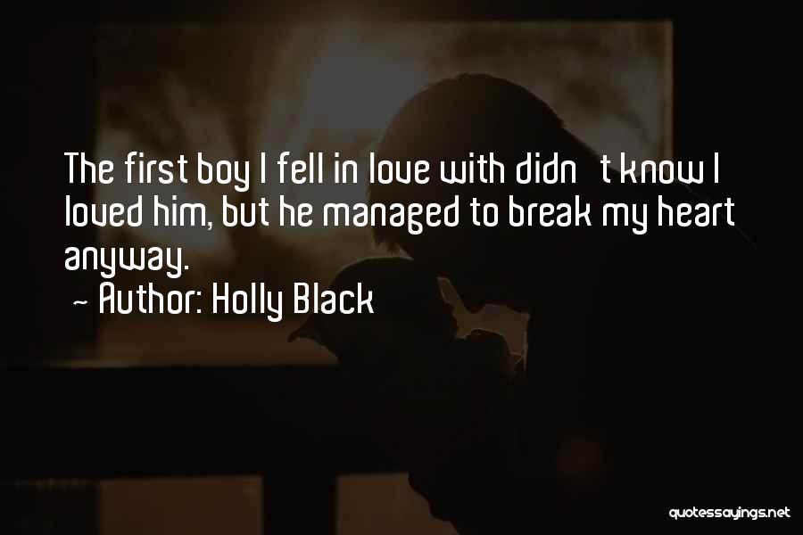 I Didn't Break Your Heart Quotes By Holly Black