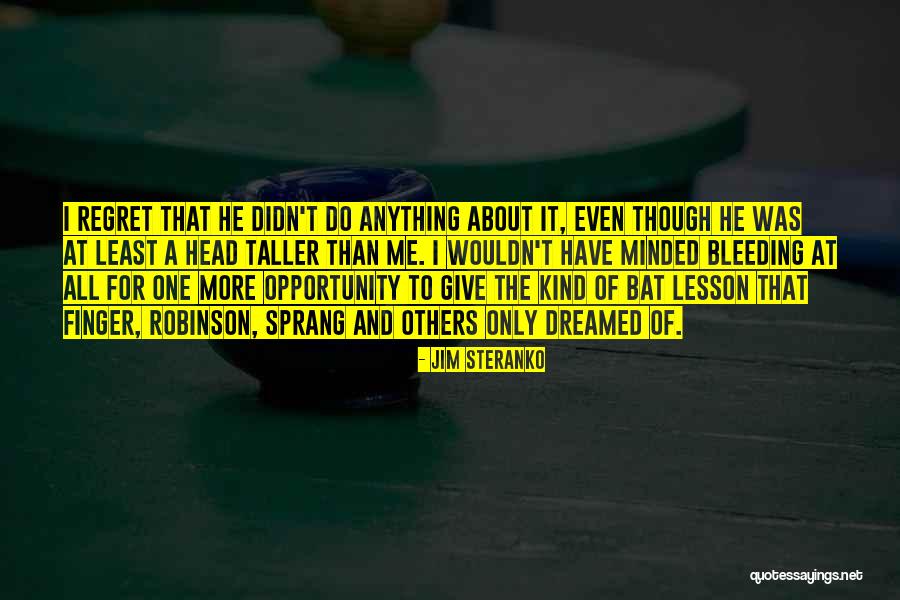 I Didn't Do Anything Quotes By Jim Steranko I Didn't Do Anything Quotes By Jim Steranko
