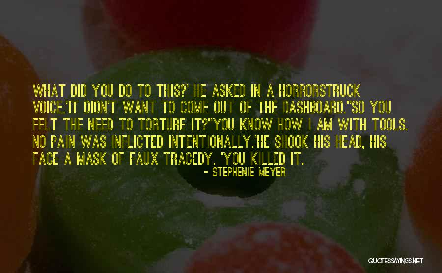 I Didn't Do It Intentionally Quotes By Stephenie Meyer I Didn't Do It Intentionally Quotes By Stephenie Meyer