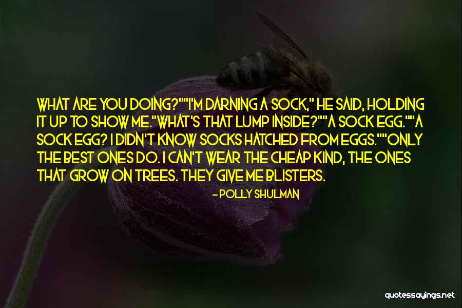 I Didn't Give Up On You Quotes By Polly Shulman