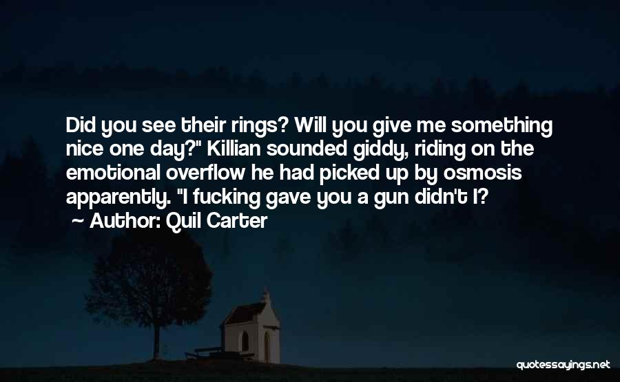 I Didn't Give Up On You Quotes By Quil Carter