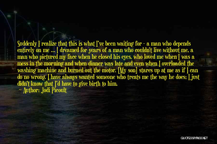 I Didn't Give Up Quotes By Jodi Picoult