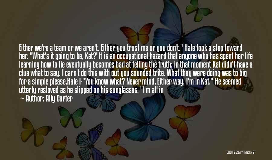 I Didn't Lie Quotes By Ally Carter