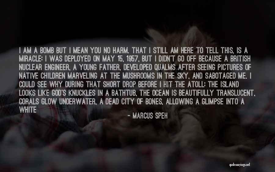 I Didn't Lie Quotes By Marcus Speh