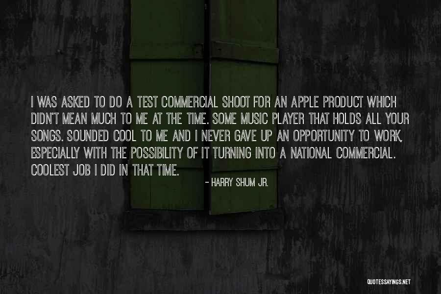 I Didn't Mean To Do It Quotes By Harry Shum Jr. I Didn't Mean To Do It Quotes By Harry Shum Jr.