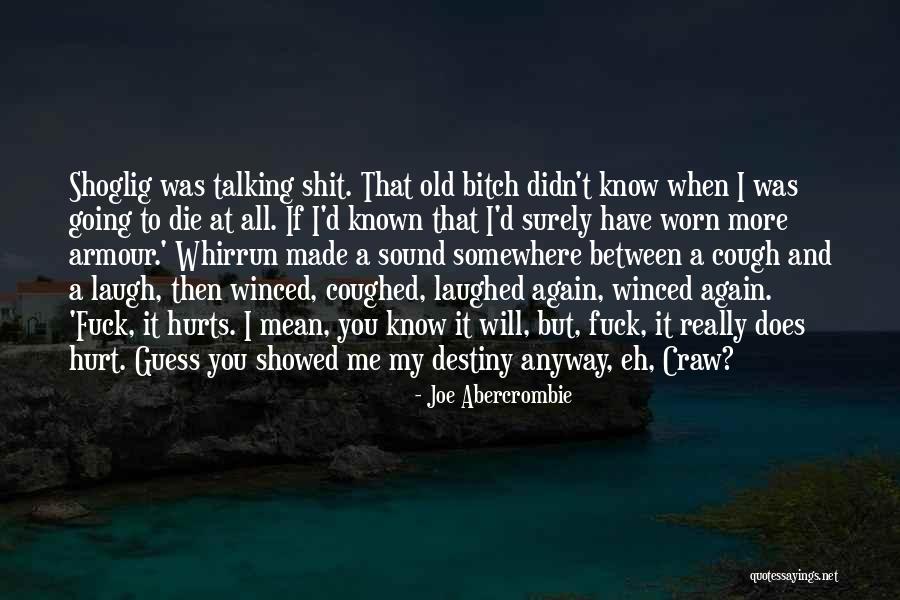 I Didn't Mean To Hurt U Quotes By Joe Abercrombie I Didn't Mean To Hurt U Quotes By Joe Abercrombie