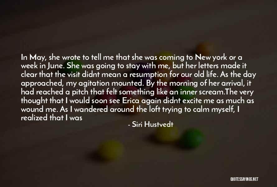 I Didnt Mean To Like You Quotes By Siri Hustvedt I Didnt Mean To Like You Quotes By Siri Hustvedt