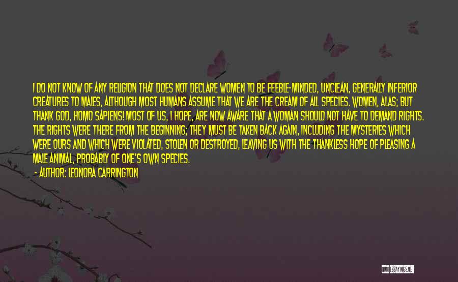 I Do Declare Quotes By Leonora Carrington