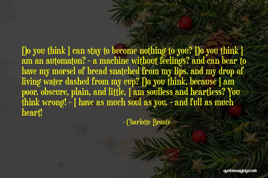 I Do Have Feelings Quotes By Charlotte Bronte