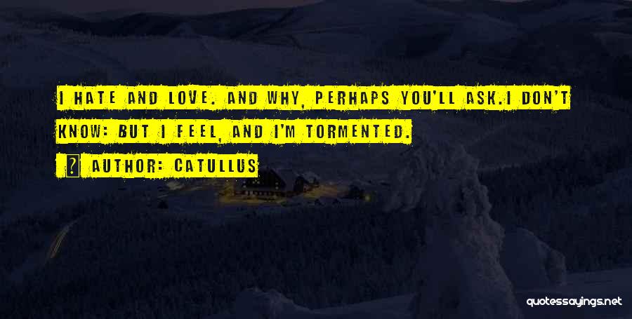 I Don Hate You But Quotes By Catullus