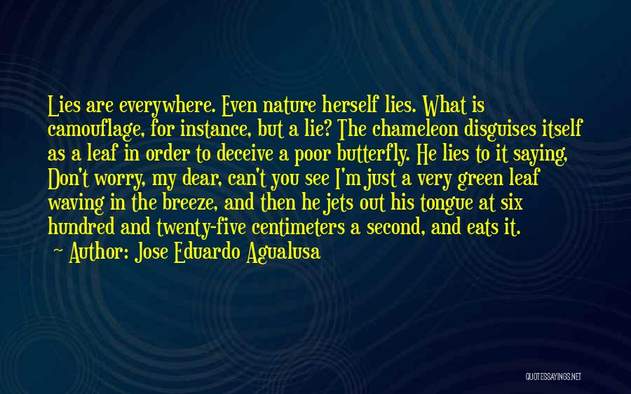 I Don Lie Quotes By Jose Eduardo Agualusa