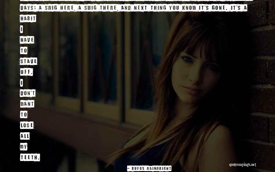 I Don Want To Lose You Quotes By Rufus Wainwright I Don Want To Lose You Quotes By Rufus Wainwright