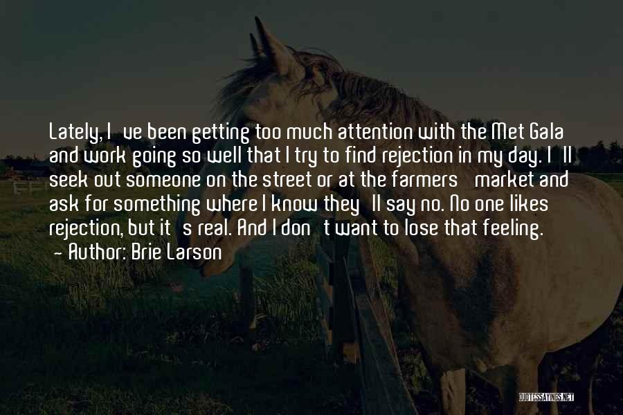 I Don't Ask For Much Quotes By Brie Larson
