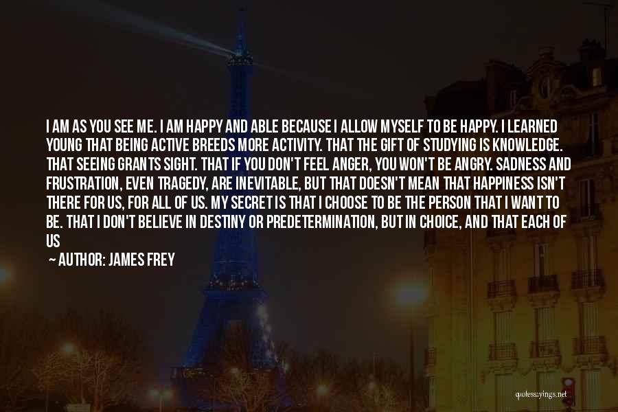 I Don't Believe In Destiny Quotes By James Frey