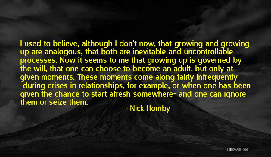 I Don't Believe In Relationships Quotes By Nick Hornby