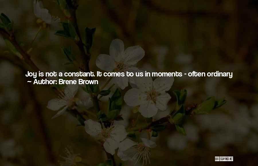 I Don't Believe In Trust Quotes By Brene Brown