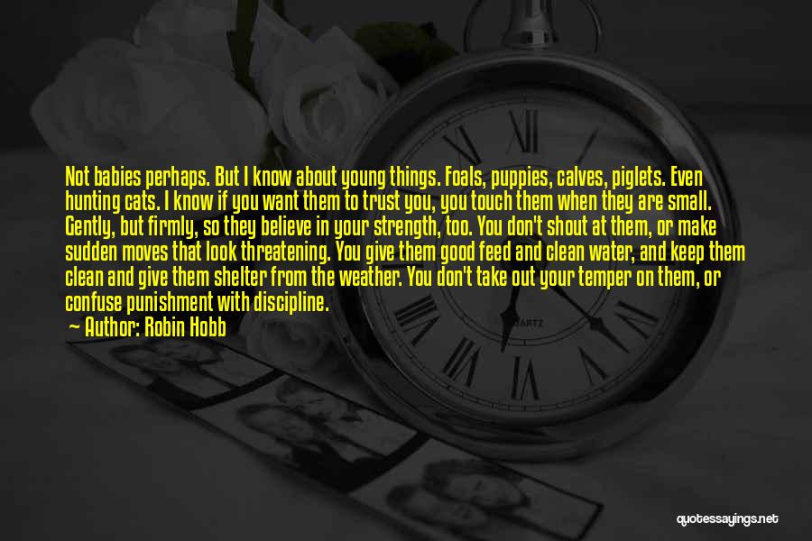 I Don't Believe In Trust Quotes By Robin Hobb