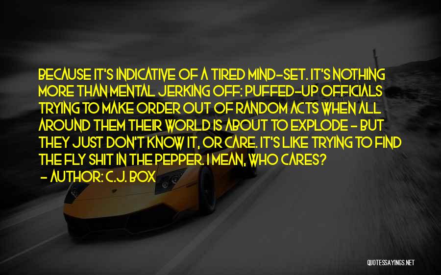 I Don't Care About The World Quotes By C.J. Box