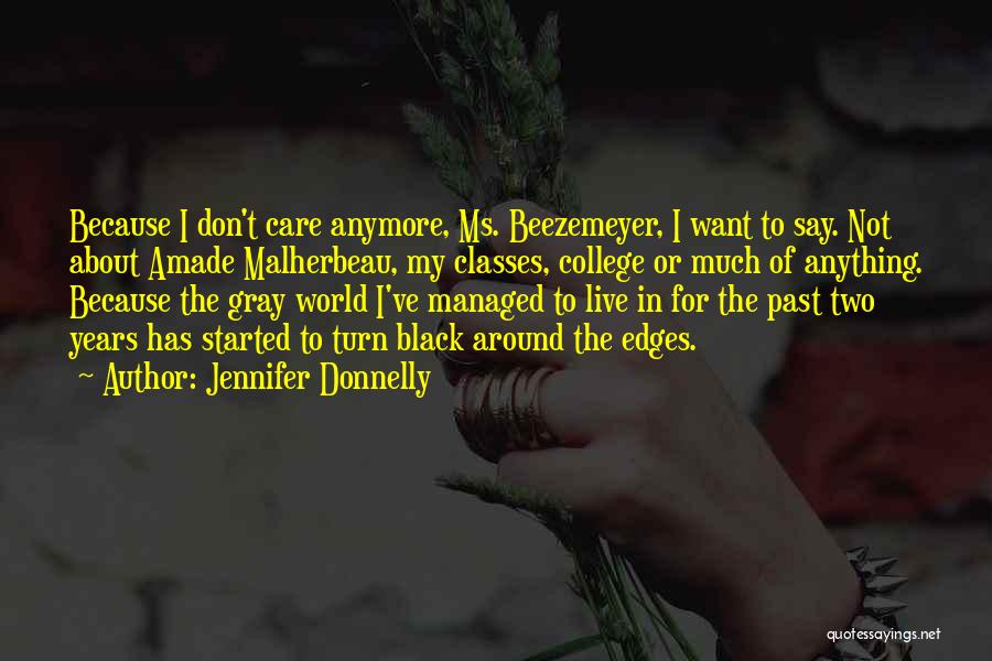 I Don't Care About The World Quotes By Jennifer Donnelly